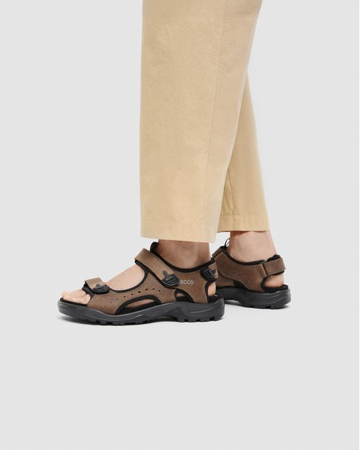 Ecco Brown Offroad for men
