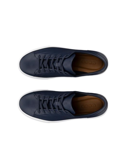 Ecco Blue Soft 10 for men