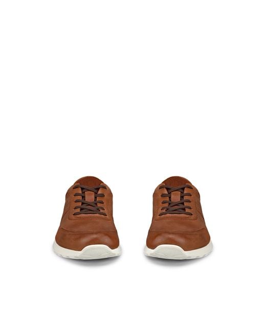 Ecco Brown Cs25 for men