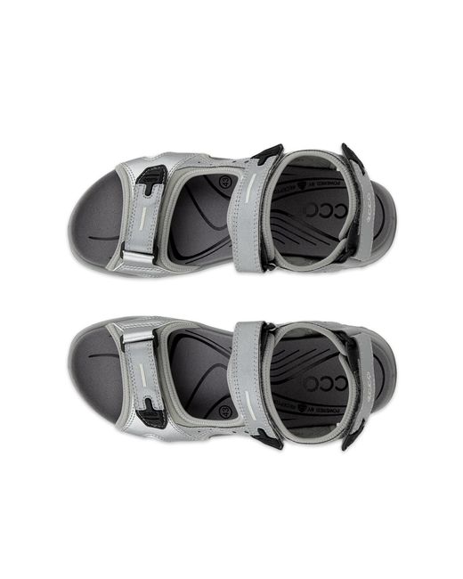 Ecco Gray Offroad for men