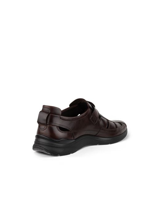Ecco Brown Irving for men
