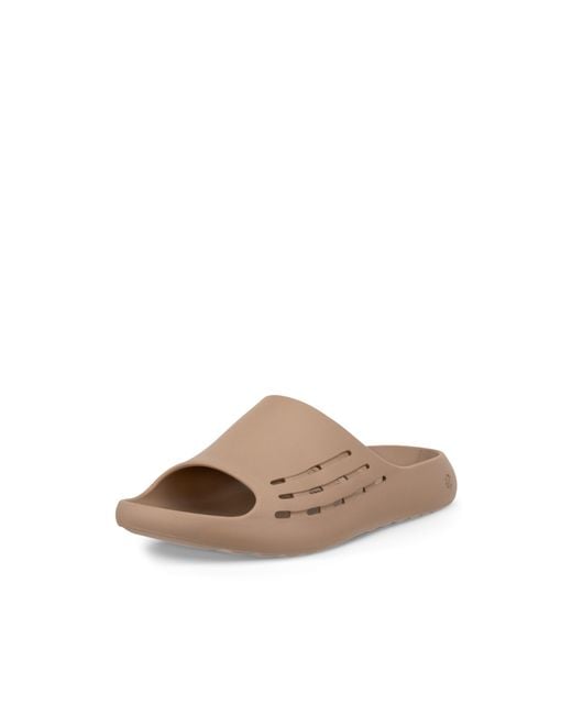 Ecco Brown Cozmo E