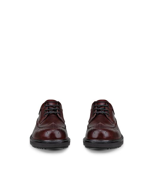 Ecco Metropole Oslo-Herren Eleganter Lederschuh in Brown für Herren