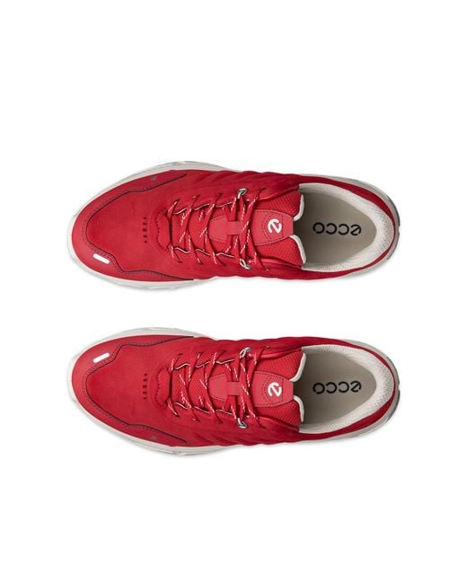 Ecco Red Receptor Xp