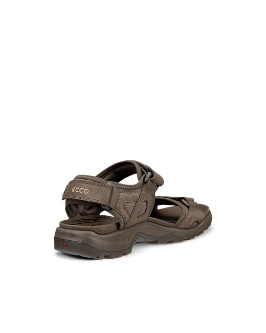 Ecco Brown Offroad for men