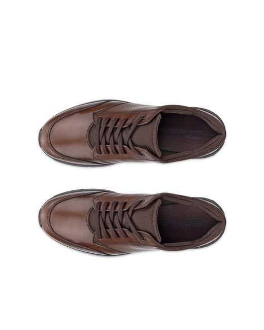 Ecco Brown Irving for men