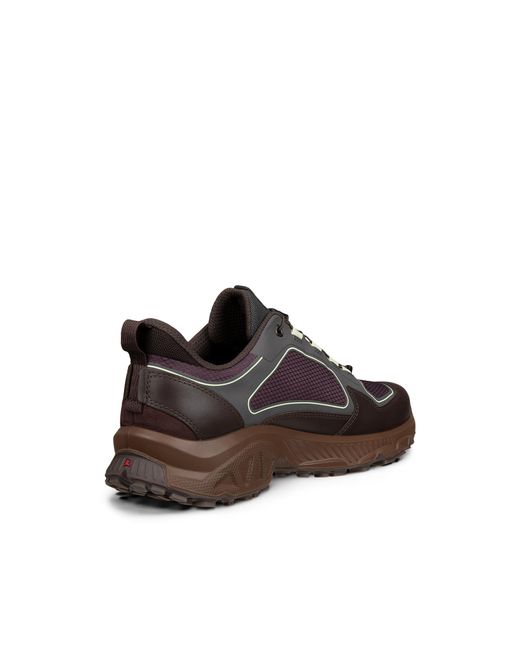 Ecco Receptor Xp in Brown für Herren