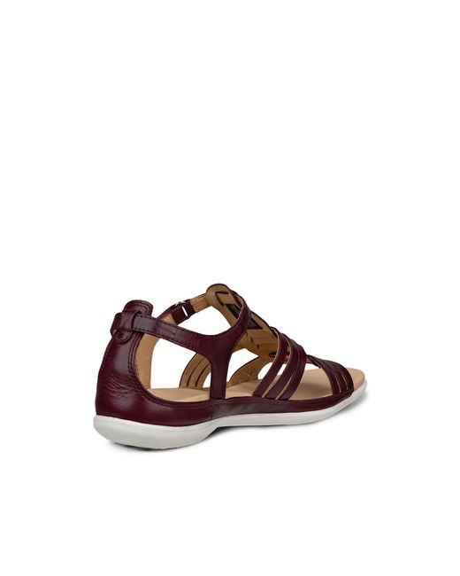 Ecco Brown Flash