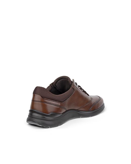 Ecco Brown Irving for men