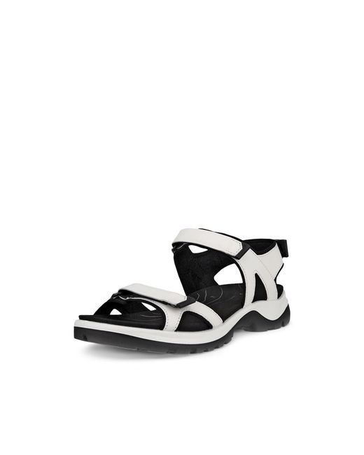 Ecco Black Offroad
