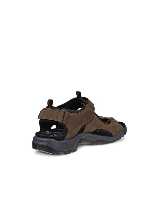 Ecco Offroad in Brown für Herren