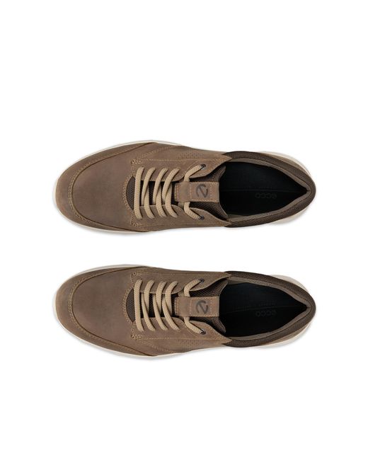 Ecco Brown Irving for men