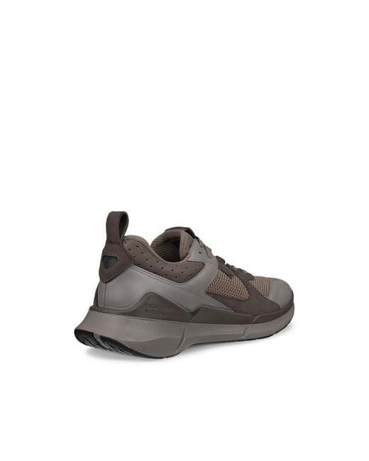 Ecco Brown Biom 2.2 for men