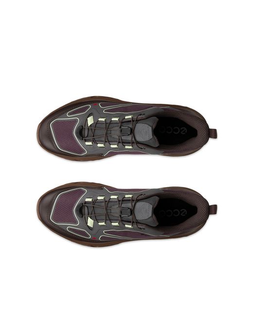 Ecco Receptor Xp in Brown für Herren