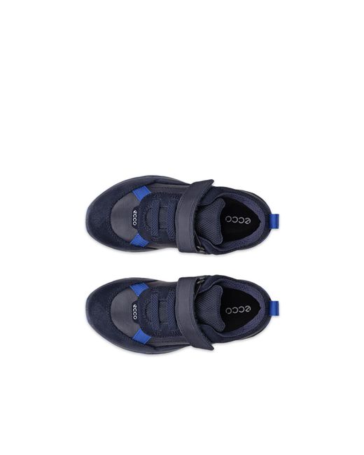 Ecco Receptor Xp in Blue für Herren