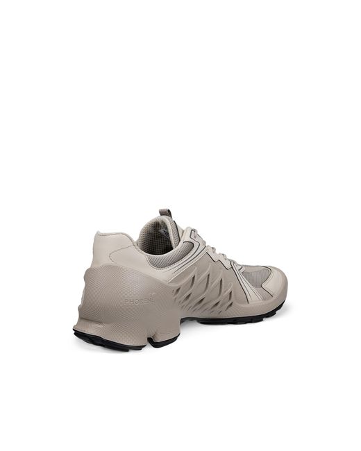 Ecco Gray Biom Aex for men