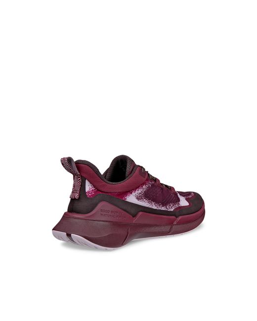 Ecco Purple Biom 2.2