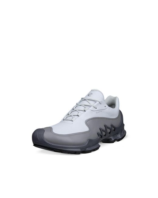 Ecco Biom Aex in Gray für Herren