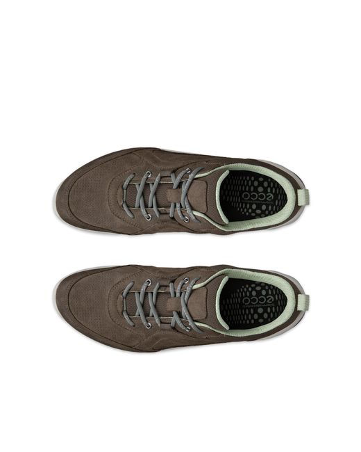 Ecco Brown Biom Energi