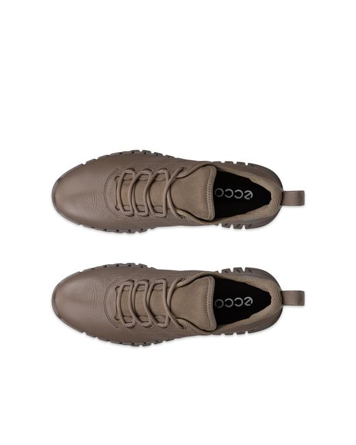 Ecco Brown Gruuv
