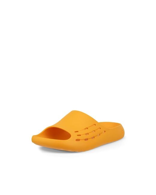 Ecco Orange Cozmo E
