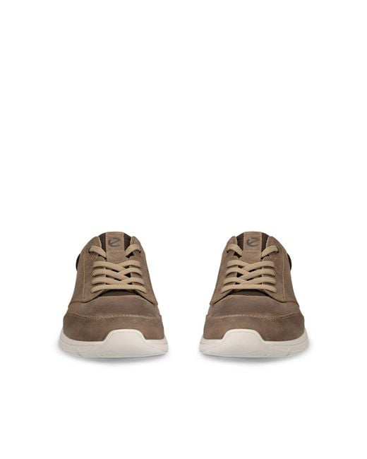 Ecco Brown Irving for men