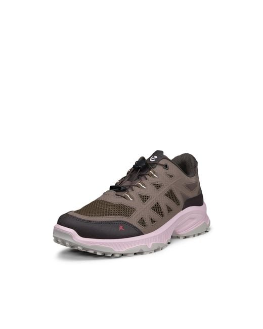 Ecco Brown Receptor Xp