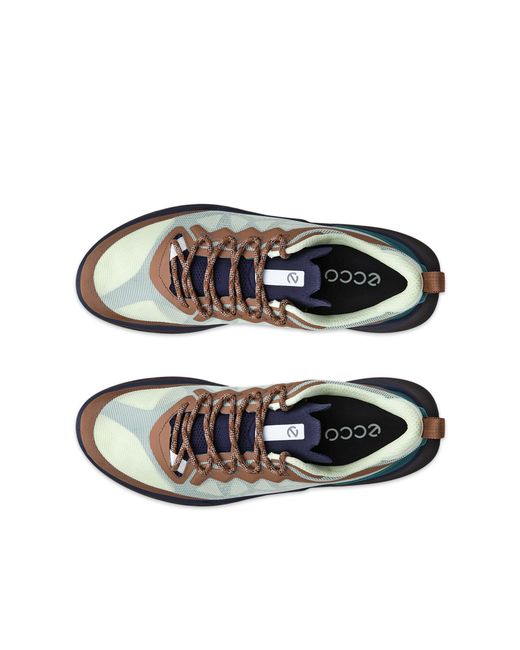 Ecco Blue Biom 720 Breathru for men