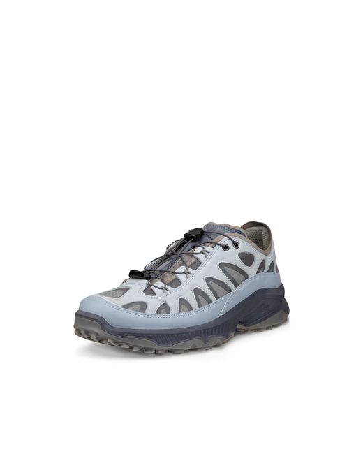 Ecco Blue Wm Receptor Xp