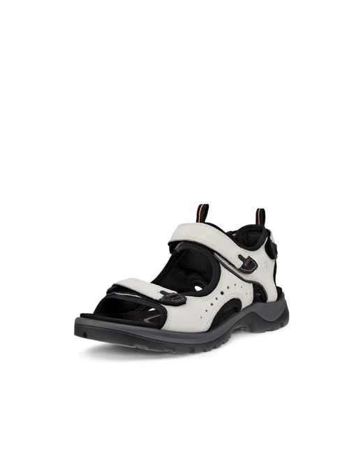 Ecco Black Offroad