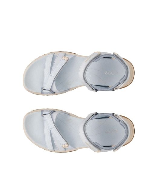 Ecco Blue Offroad Roam W