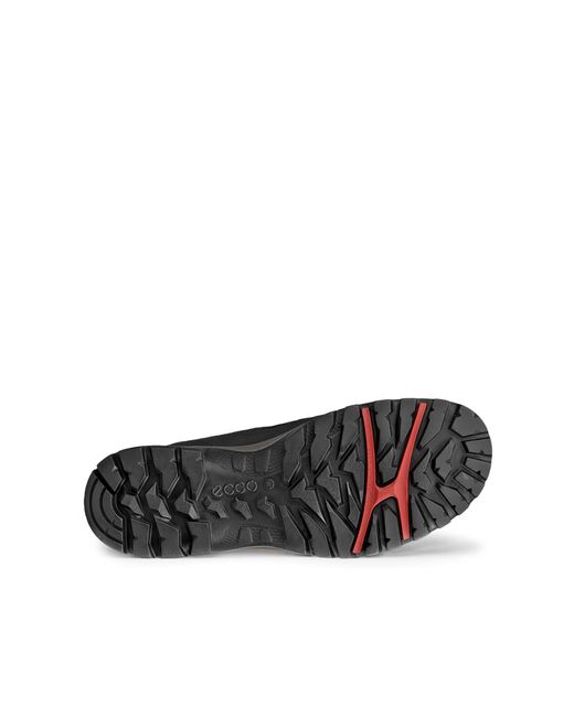 Ecco Black Xpedition Iii