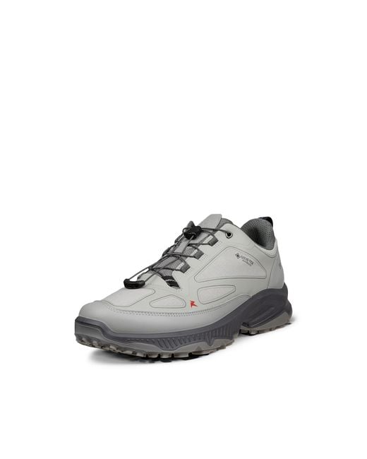 Ecco Gray Receptor Xp for men