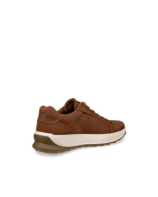 Ecco Brown Byway 2 Sneaker for men