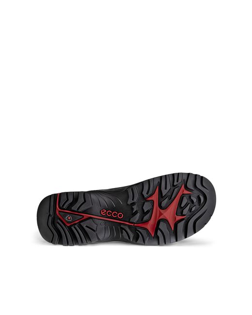 Ecco Black Offroad for men