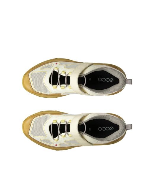 Ecco White Receptor Xp