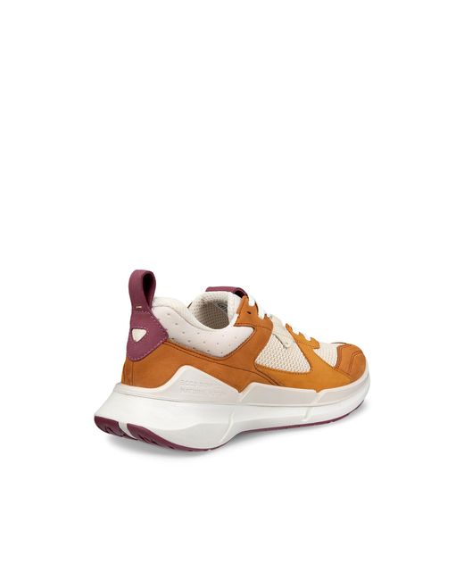 Ecco Brown Biom 2.2
