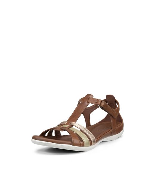 Ecco Brown Flash