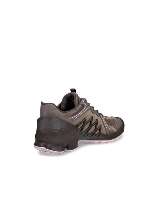Ecco Brown Biom Aex