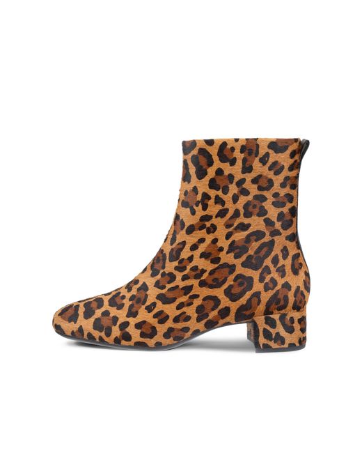 Ecco Brown Liva
