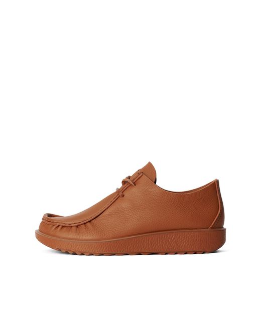 Ecco Brown Kollektive Joke