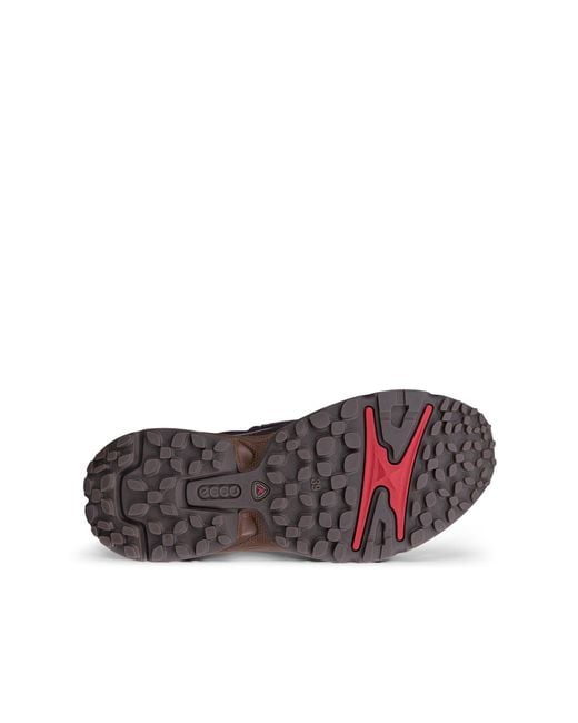Ecco Gray Receptor Xp