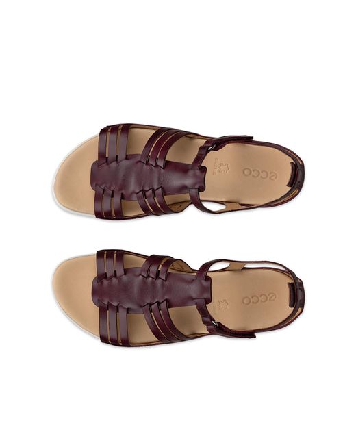 Ecco Brown Flash