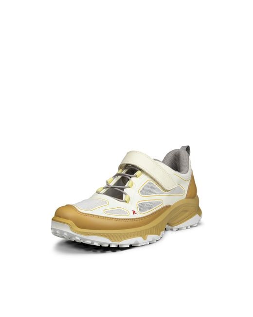 Ecco White Receptor Xp