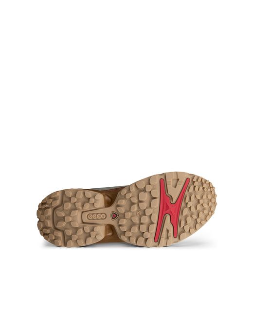 Ecco Receptor Xp in Brown für Herren