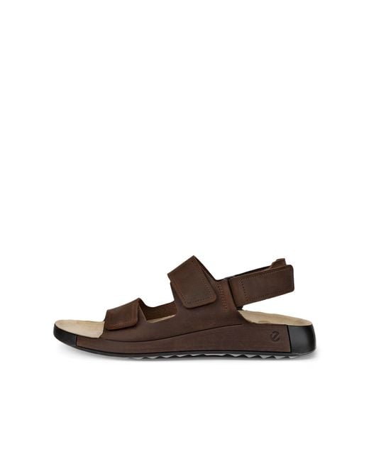 Ecco Brown Cozmo M for men