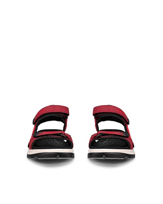 Ecco Red Offroad