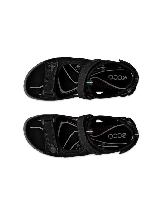 Ecco Black Offroad
