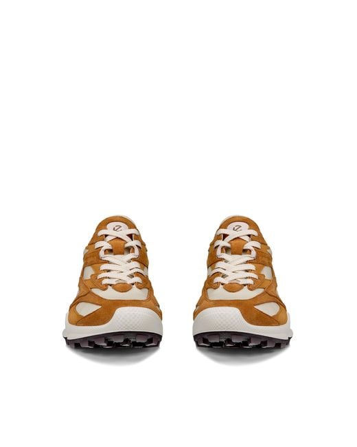 Ecco Brown Biom C-Trail