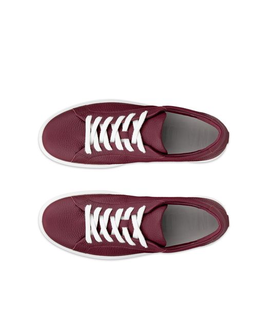 Ecco Purple Soft 60